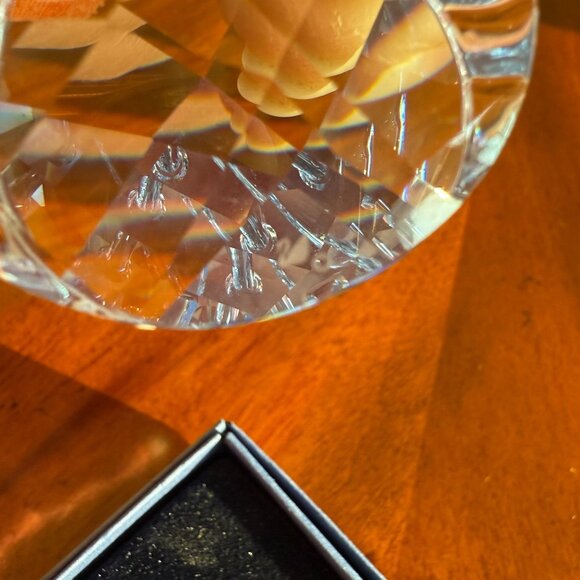 Swarovski Crystal-Earth Ornament- Amber SCS Suncatcher w/Box & COA 1003284 - Picture 7 of 11